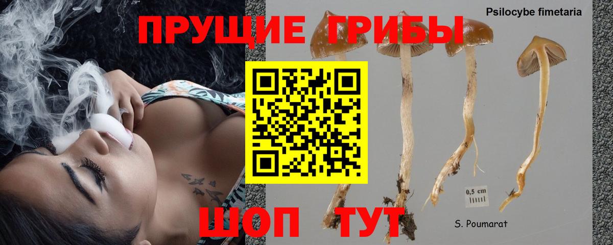 Ставрополь  дарнет шоп  Вход с VPN  Псилоцибиновые грибы мицелий  Галлюциногенные грибы ЛСД 